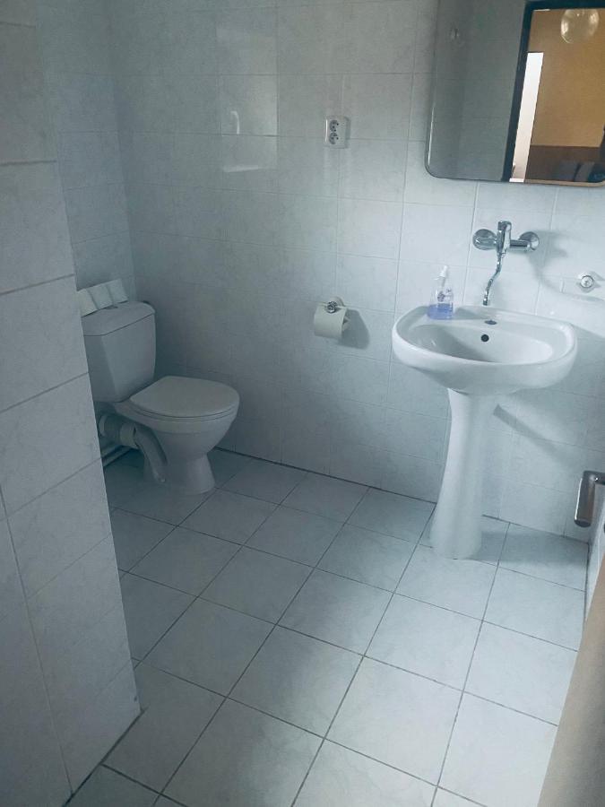 Apartmanovy Dum Velke Losiny Hotel Eksteriør billede